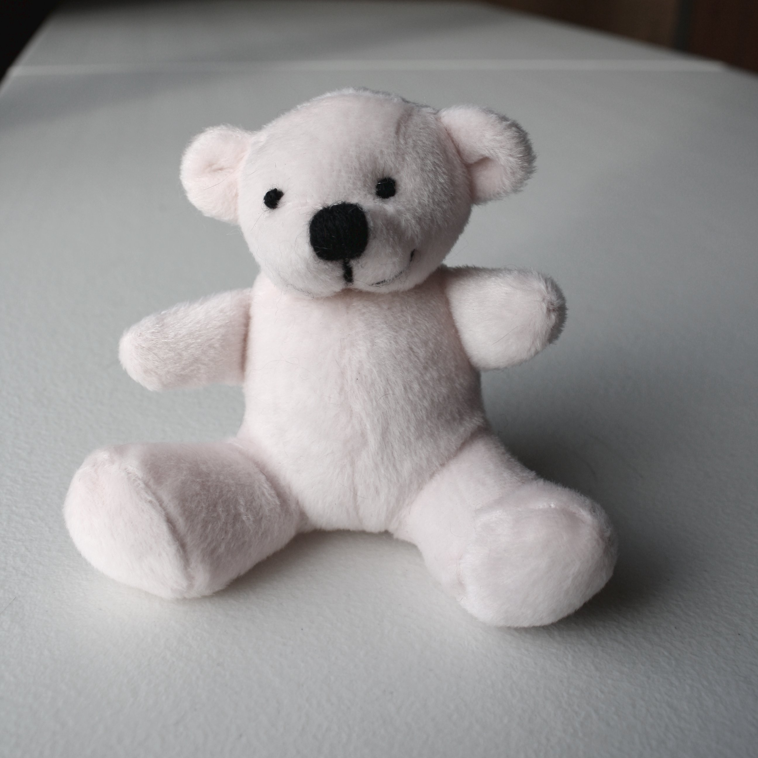 small white stuffed bear