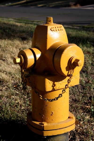 Yellow Fire Hydrant - Free High Resolution Photo