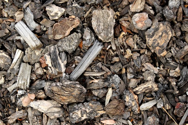 Bark Mulch Texture - Free High Resolution Photo