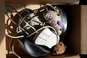 Box Full of computer and toy Mice - Free High Resolution Photo