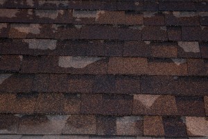 Brown Shingles Texture - Free High Resolution Photo