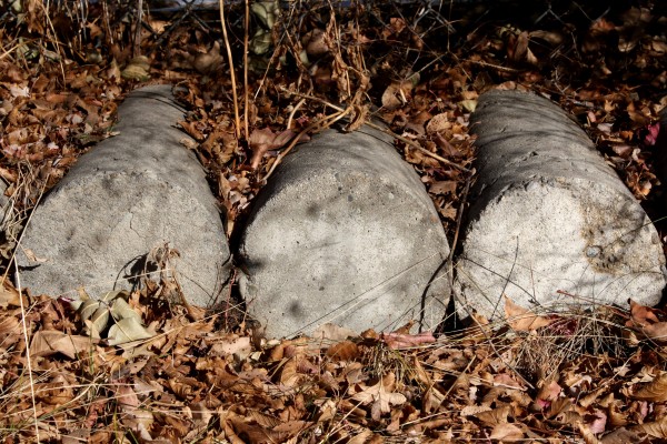 Cylindrical Cement Blocks Covered with Leaves - Free High Resolution Photo