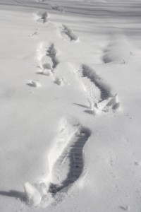 Footprints in Snow - Free High Resolution Photo