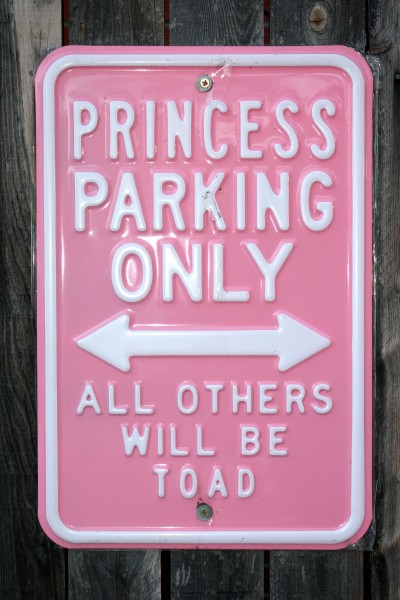 Funny Parking Sign - Free Photo - Princess Parking Only All Others will be toad