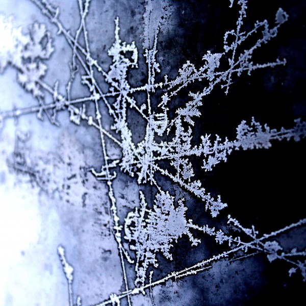 Ice on Glass Closeup - free high resolution photo