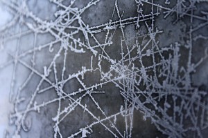 Ice Patterns on Frozen Window Texture - Free High Resolution Photo