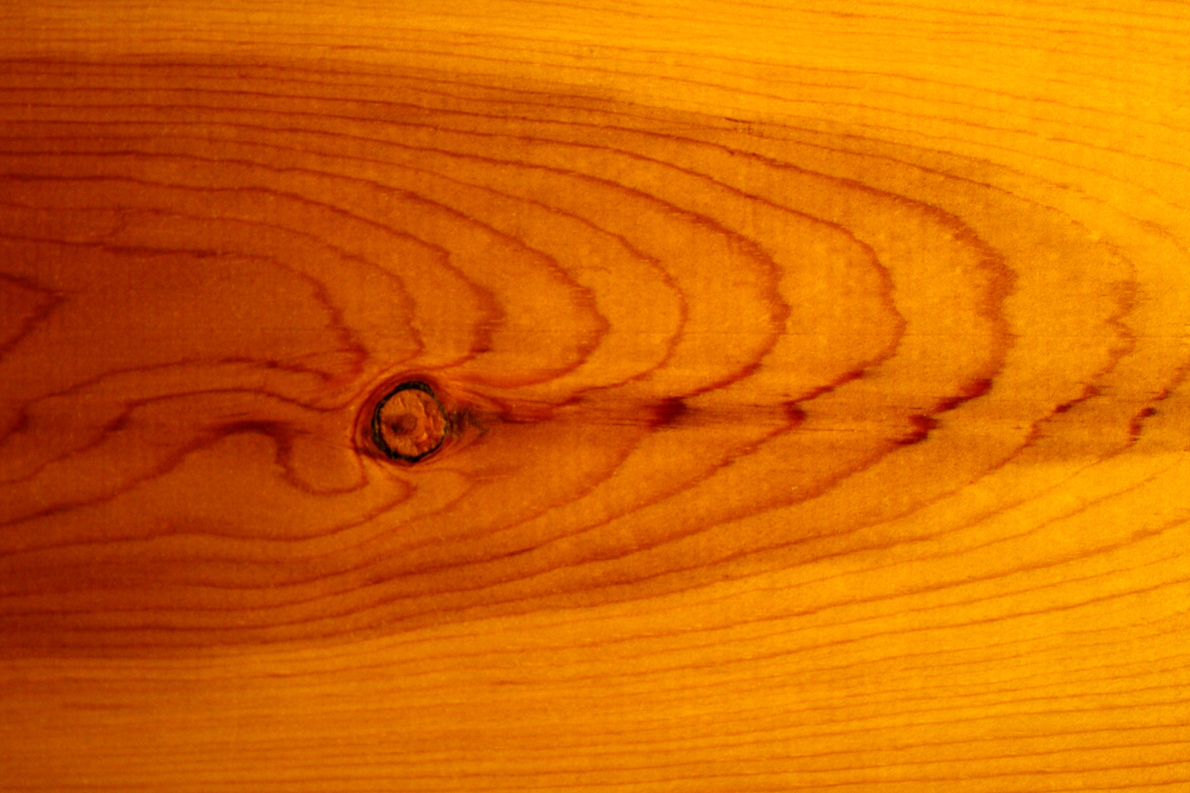 Knotty Pine Wood  Grain  Texture Picture Free Photograph 
