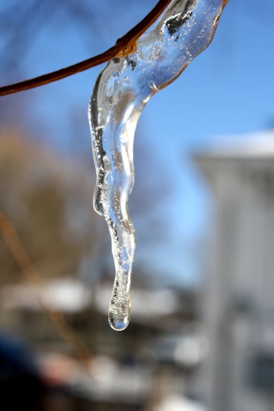 Melting Icicle - Free High Resolution Photo