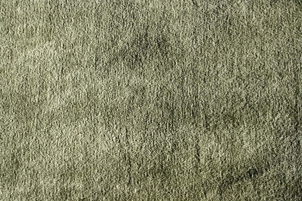 Pea Green Velour Fabric Texture - Free High Resolution Photo