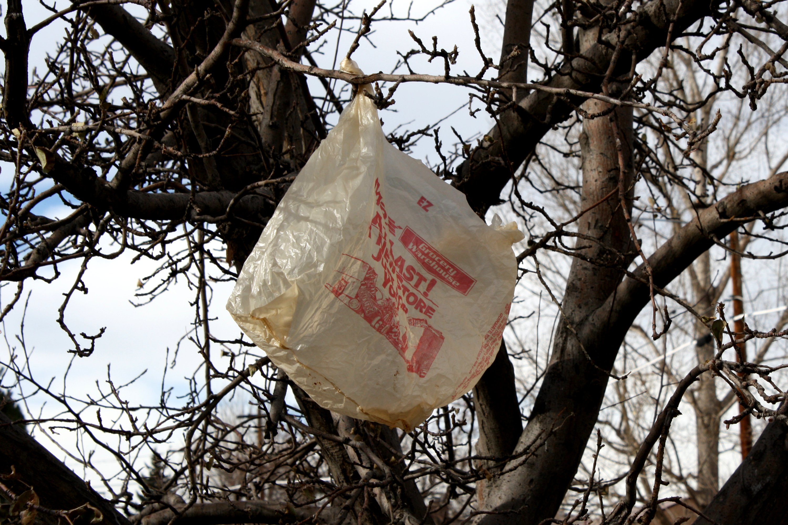 Plastic Trash Bag Caught Tree Stock Photo 1007497321