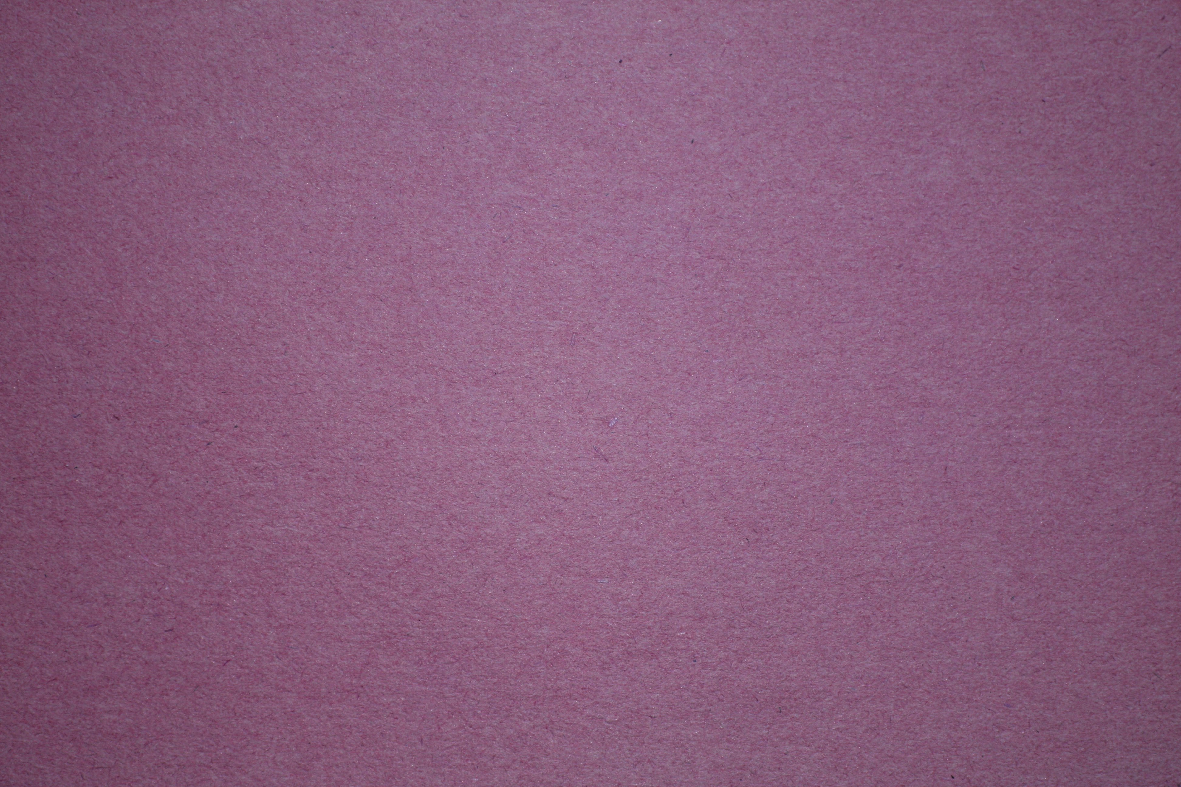 Purple Construction Paper Texture Picture, Free Photograph