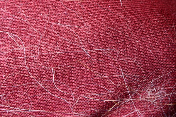 Red Fabric Covered with Cat Fur - Free High Resolution Photo