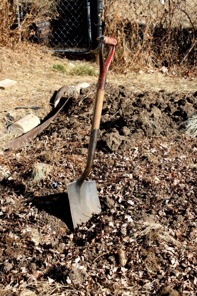 Shovel Stuck in Dirt - Free High Resolution Photo