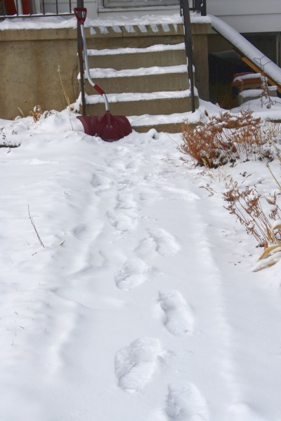 Sidewalk Not Shoveled - Free High Resolution Photo Sidewalk Not Shoveled - Free High Resolution Photo