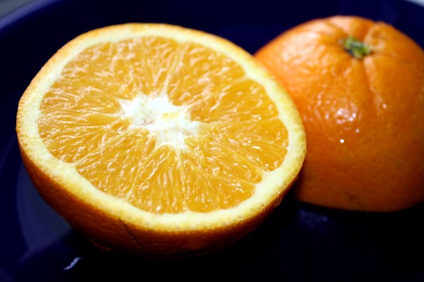 Sliced Orange - Free High Resolution Photo