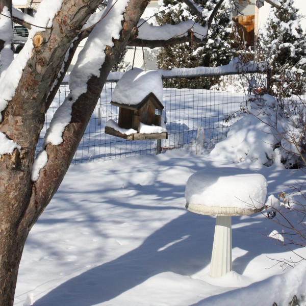 Snow Covered Bird Feeder and Birdbath - Free High Resolution Photo