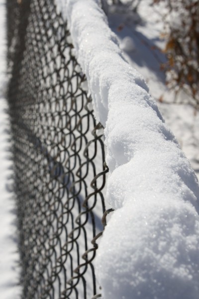 Snow on Chain Link Fence - Free High Resolution Photo