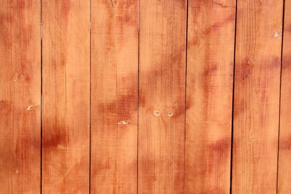 Stained Wooden Fence Boards Closeup Texture - Free High Resolution Photo