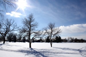 Sunny Winter Day - Free High Resolution Photo