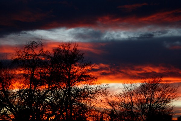 Sunset with Winter Trees - Free High Resolution Photo