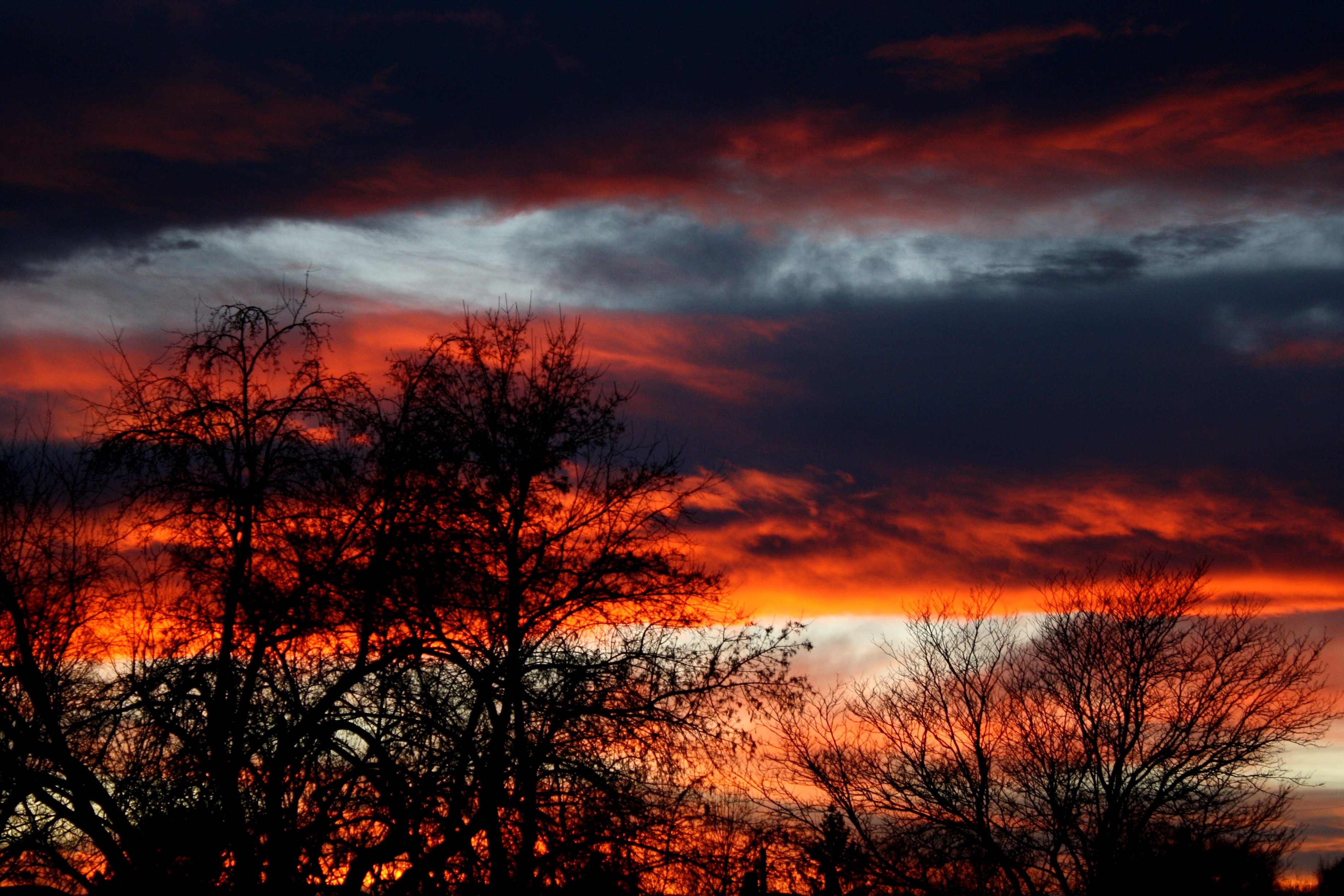 Sunset with Winter Trees Picture | Free Photograph | Photos Public Domain