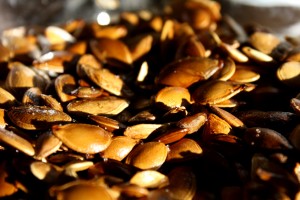 Toasted Pumpkin Seeds - Free High Resolution Photo