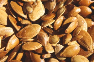 Toasted Pumpkin Seeds Texture - Free High Resolution Photo