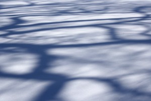 Tree Shadow Patterns on Snow - Free High Resolution Photo