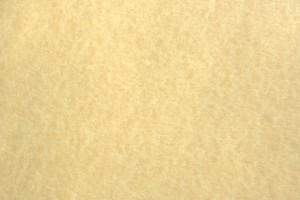 Light Colored Parchment Paper Texture - Free High Resolution Photo