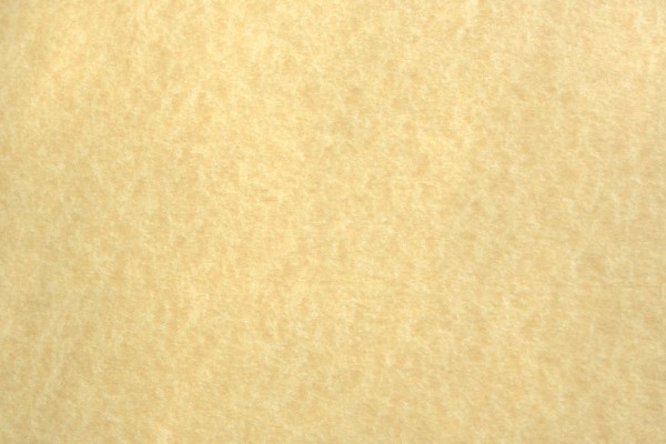 Light Colored Parchment Paper Texture - Free High Resolution Photo