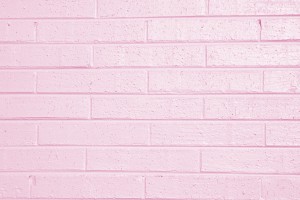 Pink Painted Brick Wall Texture - Free High Resolution Photo