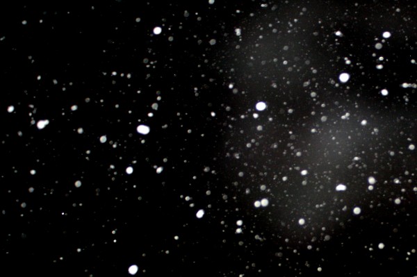 Snowflakes Falling at Night - Free High Resolution Photo
