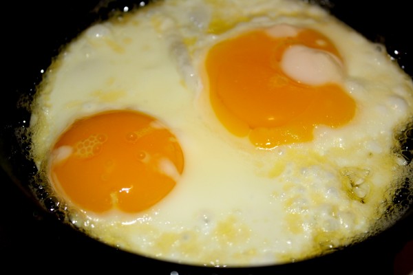 Sunny Side Up Fried Eggs Close Up - Free High Resolution Photo