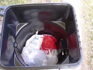 Trash in Open Garbage Can - Free High Resolution Photo
