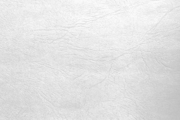 White Leather Texture - Free High Resolution Photo