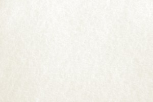 White Parchment Paper Texture - Free High Resolution Photo