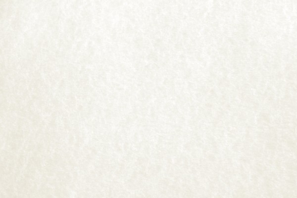 White Parchment Paper Texture - Free High Resolution Photo