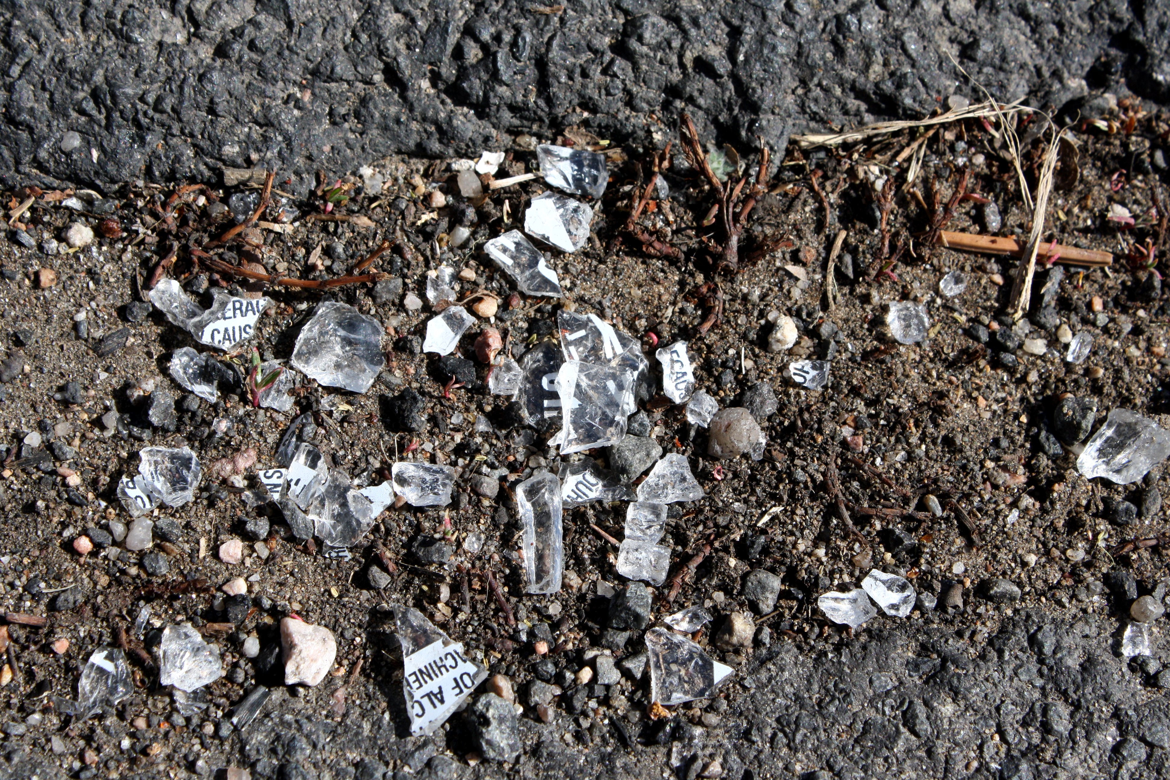 Broken Glass On Pavement Picture Free Photograph