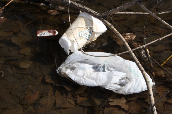 Garbage Floating in Water - Free High Resolution Photo