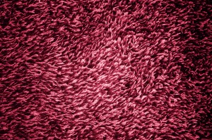 Magenta or Hot Pink Shag Carpeting Texture - Free High Resolution Photo