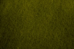 Olive Green Parchment Paper Texture - Free High Resolution Photo