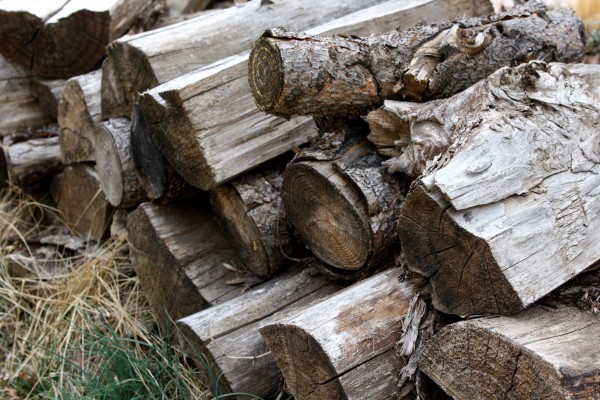 Pile of Firewood - Free High Resolution Photo
