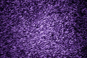 Purple Shag Carpeting Texture - Free High Resolution Photo