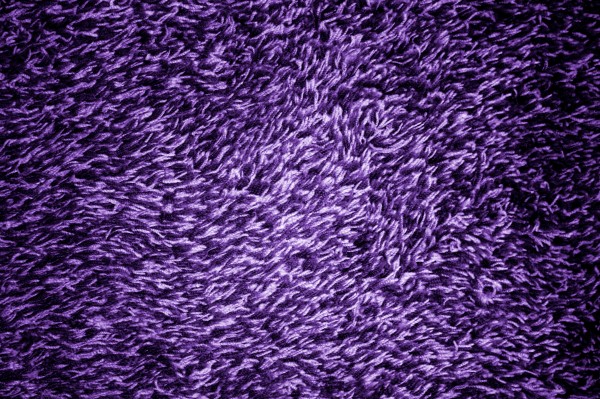 Purple Shag Carpeting Texture - Free High Resolution Photo