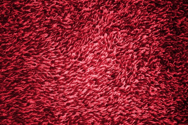 Red Shag Carpeting Texture - Free High Resolution Photo