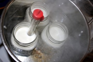 Scalding Milk in Makeshift Double Boiler - Free High Resolution Photo