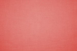 Light Red Canvas Fabric Texture - Free High Resolution Photo
