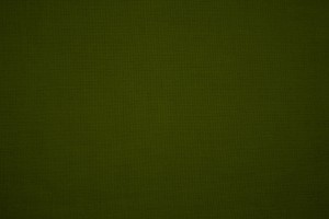 Olive Green Canvas Fabric Texture - Free High Resolution Photo