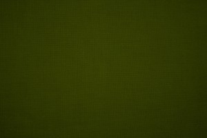 Olive Green Canvas Fabric Texture - Free High Resolution Photo