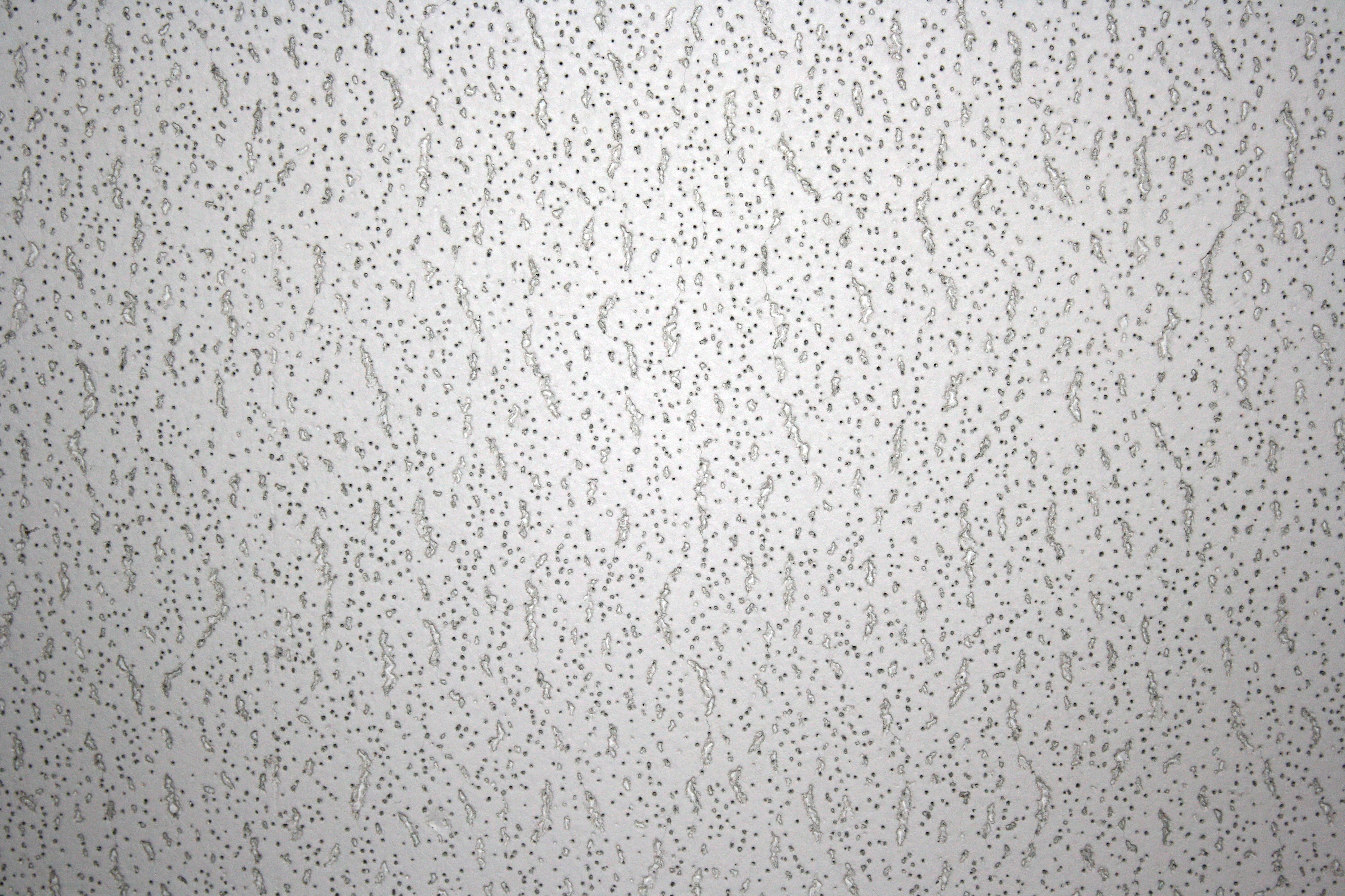 Acoustic Ceiling Tile Close Up Texture Picture Free